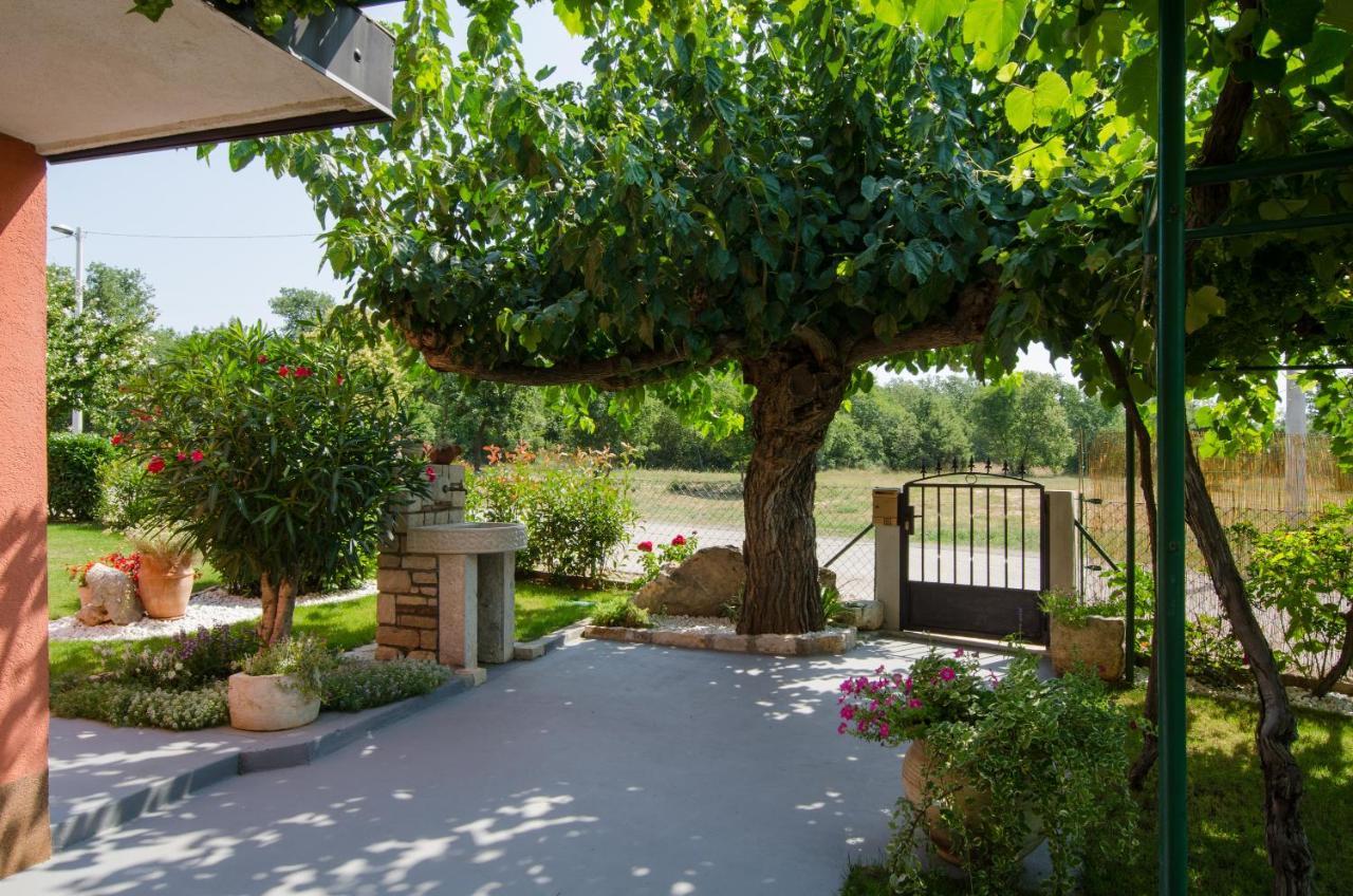 Villa Roza Umag Exterior foto